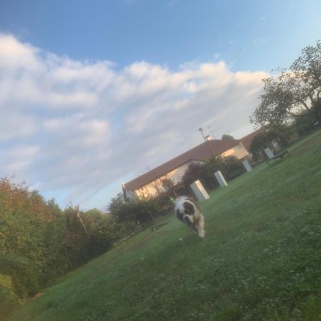 Agriturismo il Podere - Farm Dog Friendly with Rooms, Breakfast&Dinner Restaurant Vedelago  Exterior foto