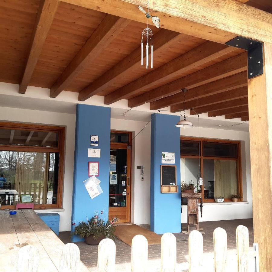 Agriturismo il Podere - Farm Dog Friendly with Rooms, Breakfast&Dinner Restaurant Vedelago  Exterior foto