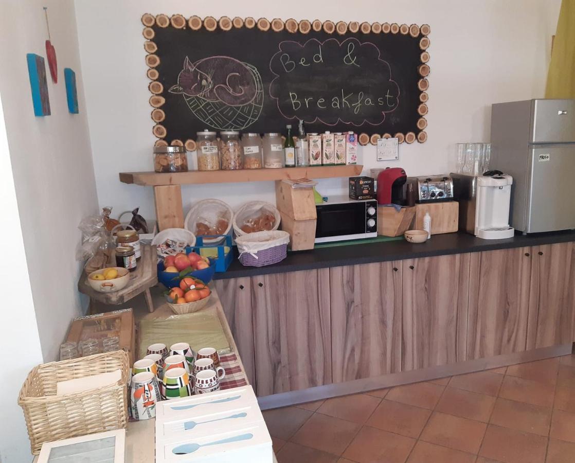Agriturismo il Podere - Farm Dog Friendly with Rooms, Breakfast&Dinner Restaurant Vedelago  Exterior foto