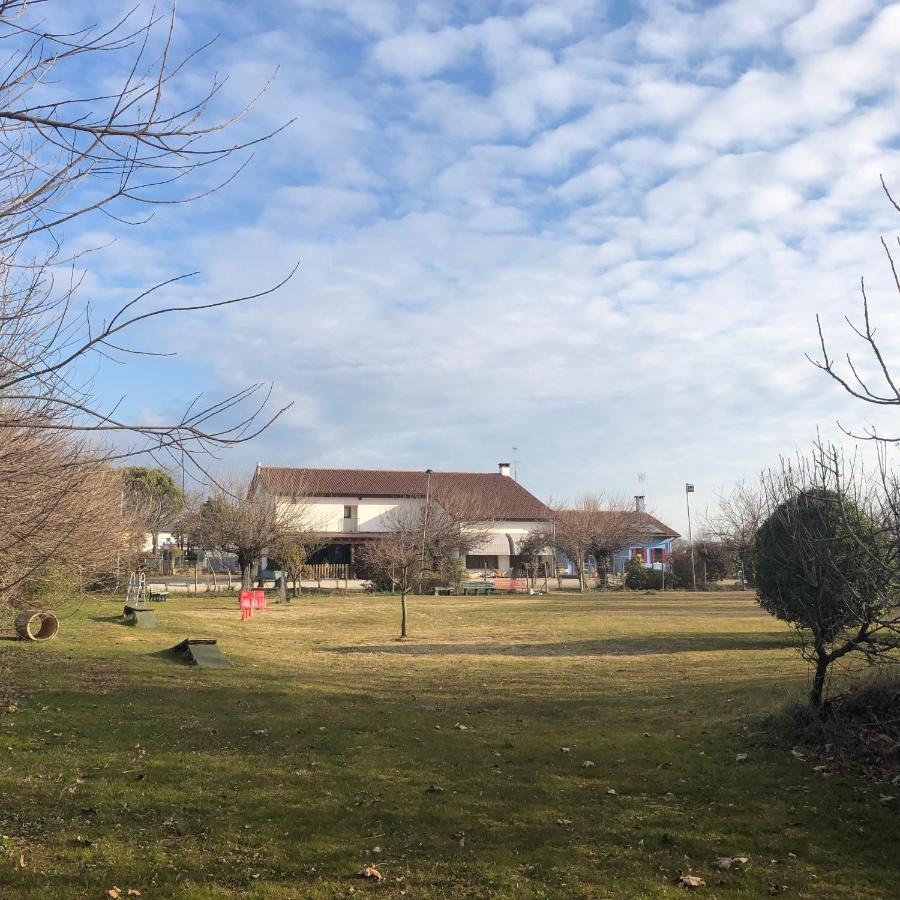 Agriturismo il Podere - Farm Dog Friendly with Rooms, Breakfast&Dinner Restaurant Vedelago  Exterior foto